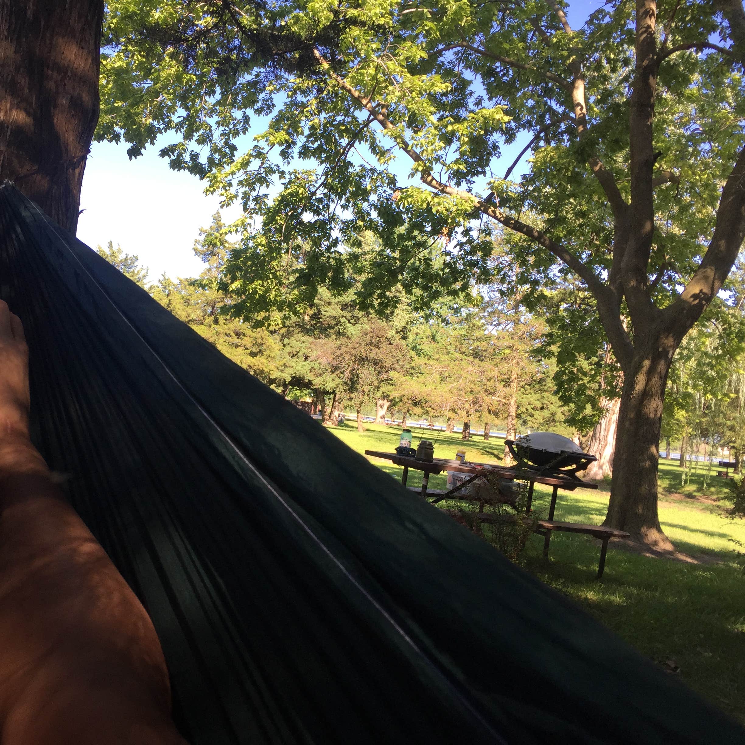 Pawnee Lake State Recreation Area / Lakeview Campground Camping The Dyrt