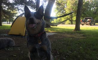 Molly G.'s photo of camping with pets at Lakeview Campground — Pawnee State Recreation Area near Conestoga Lake