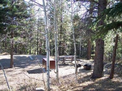 Camper submitted image from Posy Lake Campground - 5