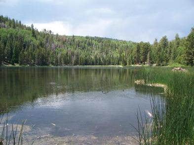 Camper-submitted photo at Posy Lake Campground near Capitol Reef National Park