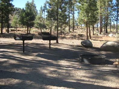 BBQ Grill area at Big Pine Equestrian Group Campground



Credit: