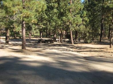 Camper submitted image from Big Pine Equestrian Group Campground - 1