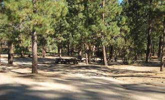Camping near Fishermans Group Campground: Big Pine Equestrian Group Campground, Fawnskin, California