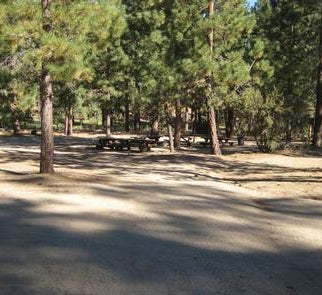 Camper-submitted photo from Big Pine Equestrian Group Campground