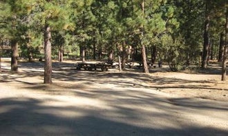 Camping near Tent Peg Group Campground: Big Pine Equestrian Group Campground, Fawnskin, California