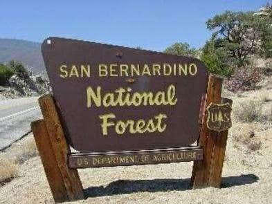 San Bernardino National Forest Sign



Credit: