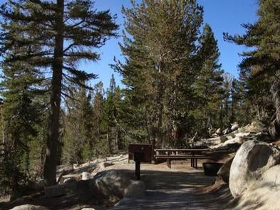 Camper submitted image from Mount Rose Campground - 1
