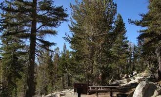 Camping near Washoe Lake State Park Campground: Mount Rose Campground, Incline Village-Crystal Bay, California
