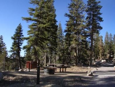 Camper submitted image from Mount Rose Campground - 2