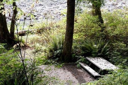 Camper-submitted photo at Marten Creek Group Campground near Mt. Baker-Snoqualmie National Forest