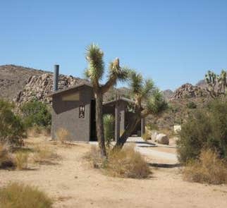 Camper-submitted photo from Sheep Pass Campground — Joshua Tree National Park