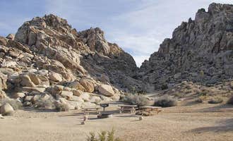 Camping near Boy Scout Trail Backcountry Sites — Joshua Tree National Park: Sheep Pass Campground — Joshua Tree National Park, Twentynine Palms, California