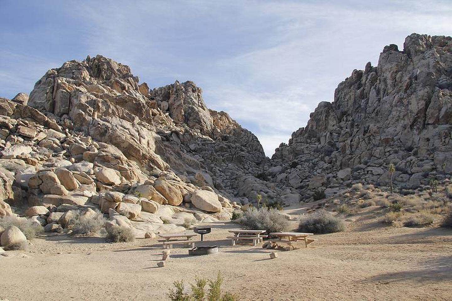 Camper submitted image from Sheep Pass Group Campground — Joshua Tree National Park - 1