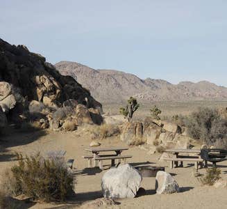 Camper-submitted photo from North Joshua Tree