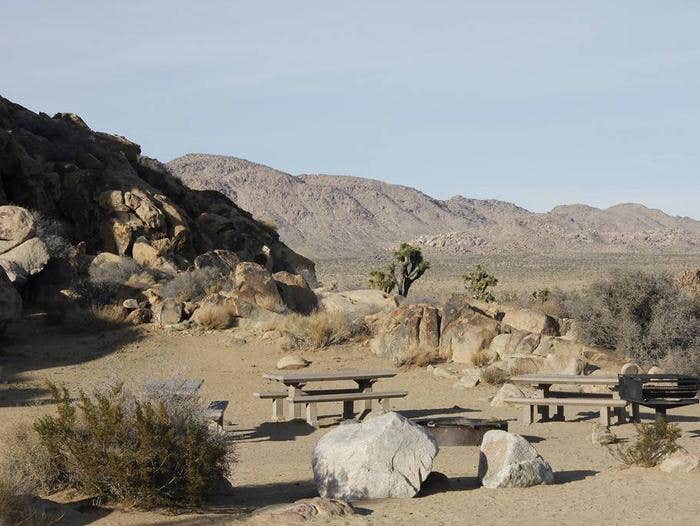 Camper submitted image from Sheep Pass Group Campground — Joshua Tree National Park - 5