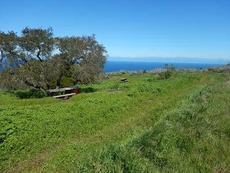 Camper submitted image from Santa Cruz Island - Del Norte Backcountry — Channel Islands National Park - 1