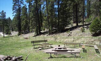 Camping near Upper Fir Group: Lower Fir Group Campground, Cloudcroft, New Mexico