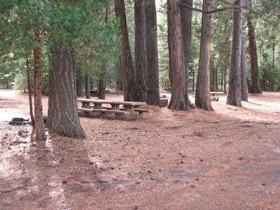 Camper submitted image from Camp 4 Group Campground — Shasta Trinity National Forest - 2