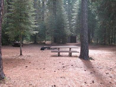 Camper submitted image from Camp 4 Group Campground — Shasta Trinity National Forest - 4