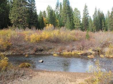 Camper submitted image from Camp 4 Group Campground — Shasta Trinity National Forest - 3