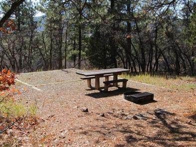 Camper submitted image from Target Tree Campground - 3