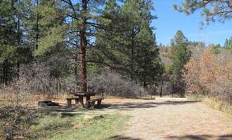 Camping near Jersey Jim Lookout: Target Tree Campground, Mancos, Colorado