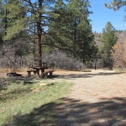 Public Campgrounds: Target Tree Campground