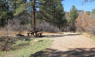 Target Tree Campground