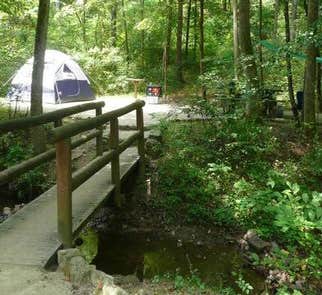 Camper-submitted photo from Peaks Of Otter Campground — Blue Ridge Parkway