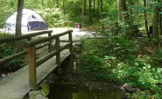 The Dyrt's photo at Cave Mountain Lake Group Camp — George Washington & Jefferson National Forest near Daleville, VA