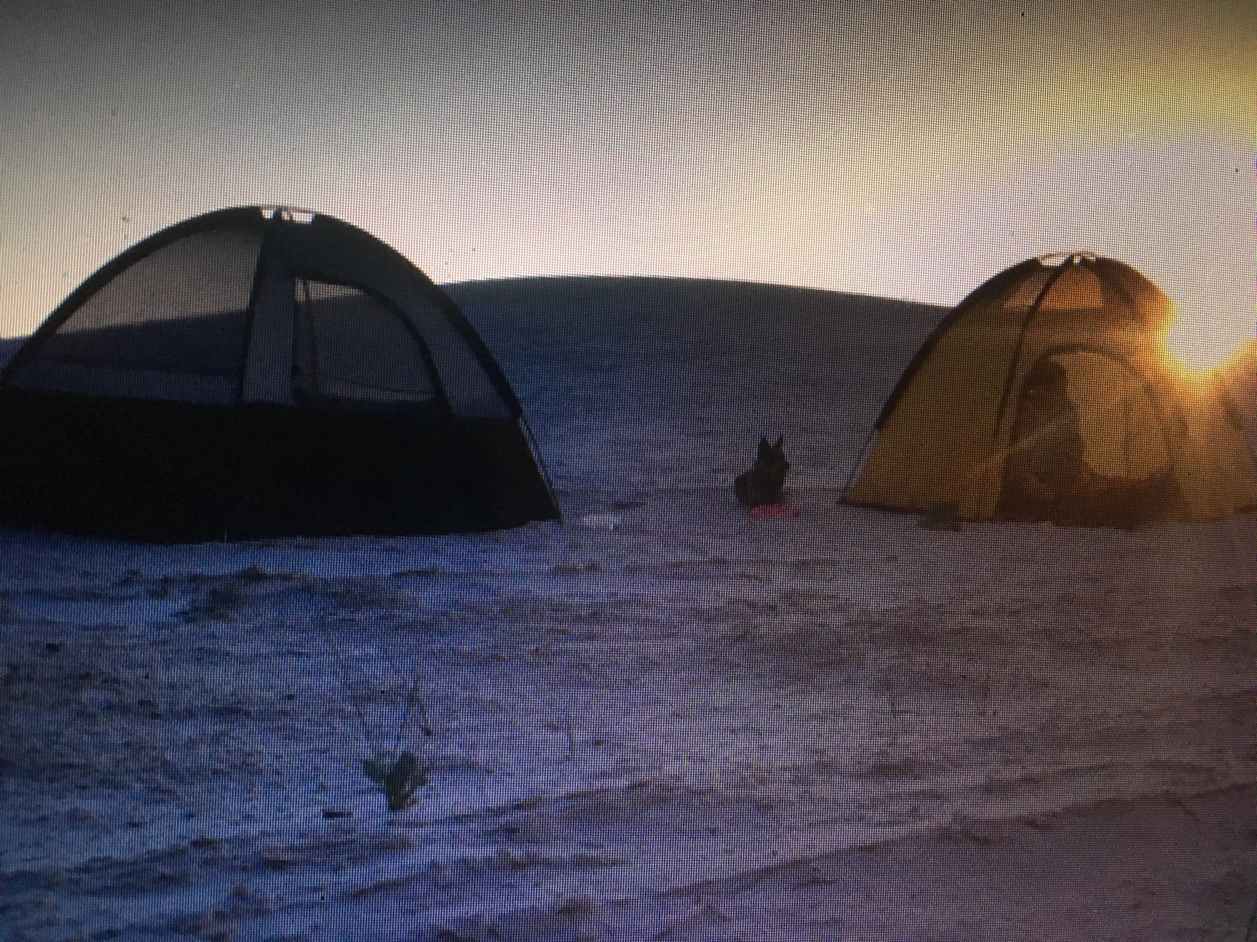 Camper submitted image from Backcountry Primitive Sites — White Sands National Park - 5