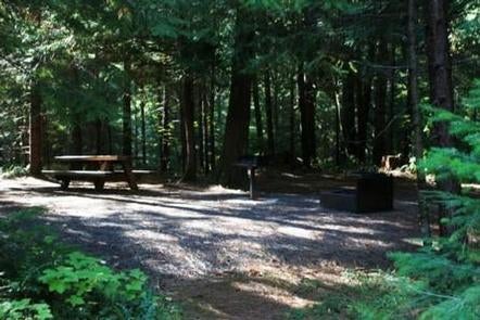 Campsite in forest with picnic table in dappled sun and grill and fire pit in shade.



Deer Flat Group Site in Horseshoe Bend Campground

Credit: USFS