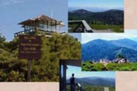 View All