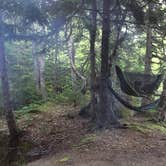 Review photo of Seawall Campground — Acadia National Park by Molly G., September 6, 2016