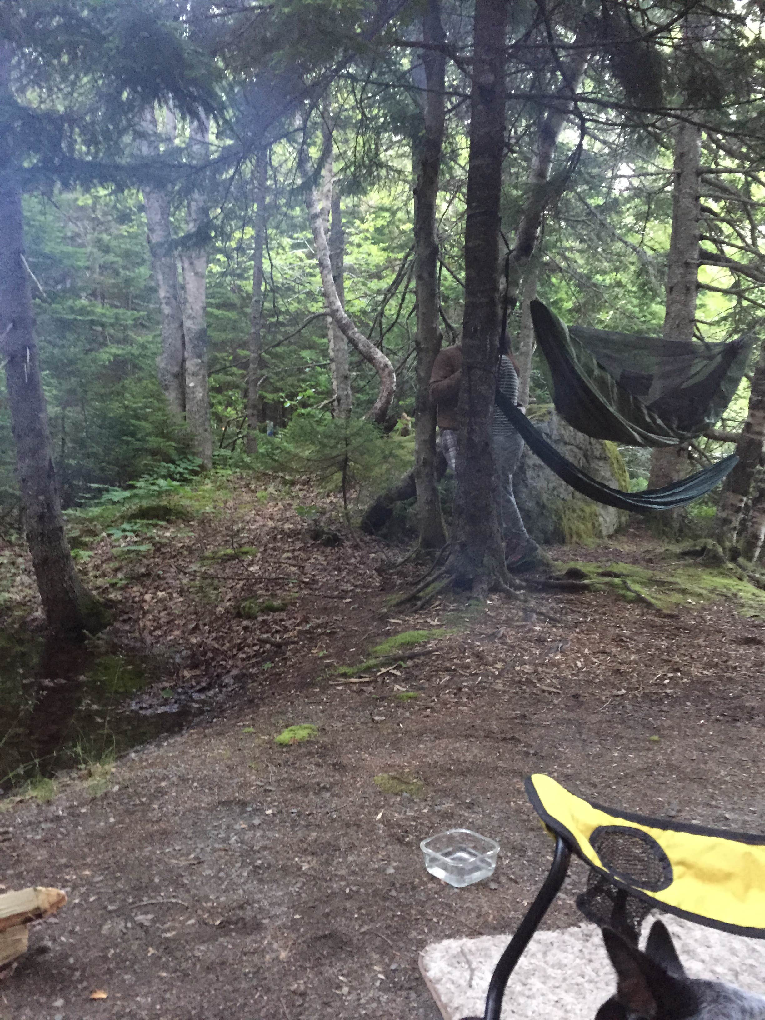 Camper submitted image from Seawall Campground — Acadia National Park - 4