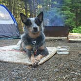 Review photo of Seawall Campground — Acadia National Park by Molly G., September 6, 2016