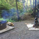 Review photo of Seawall Campground — Acadia National Park by Molly G., September 6, 2016