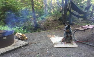 Molly G.'s photo at Seawall Campground — Acadia National Park near Acadia National Park