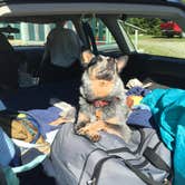 Review photo of Seawall Campground — Acadia National Park by Molly G., September 6, 2016