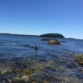 Review photo of Seawall Campground — Acadia National Park by Molly G., September 6, 2016