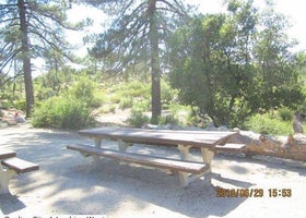 Coulter Group Campground