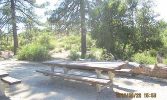Camping near Horse Flats Campground: Coulter Group Campground, Mount Wilson, California