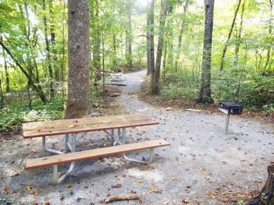 Camper submitted image from Morganton Point Campground - 1