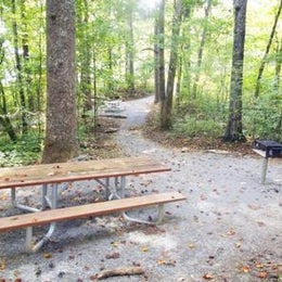 Public Campgrounds: Morganton Point Campground