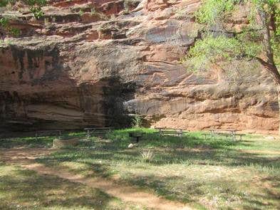 Camper-submitted photo at Moonflower Canyon Group Site near Castle Valley, UT