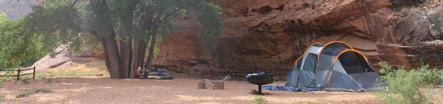 Camping near Williams Bottom Campground: Moonflower Canyon Group Site, Moab, Utah