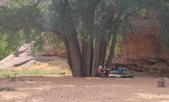 Camping near Sun Outdoors North Moab: Moonflower Canyon Group Site, Moab, Utah