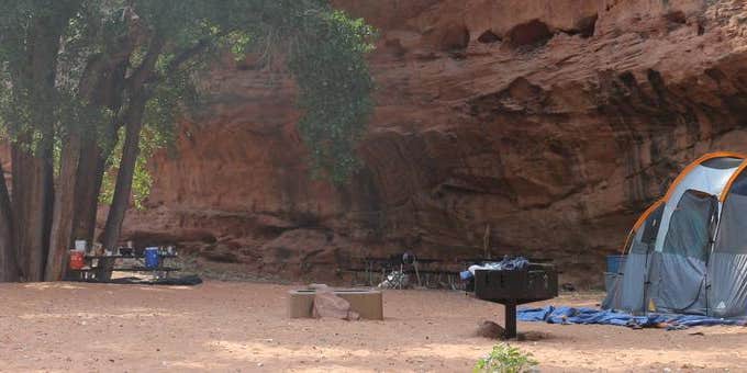 Camper submitted image from Moonflower Canyon Group Site