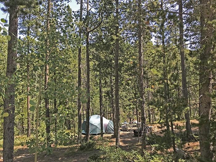 Camper submitted image from Cottonwood Campground Wyoming - 1