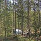 Cottonwood Campground Wyoming